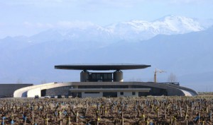 O. Fournier Winery-Uco Valley/Eddy Ancinas